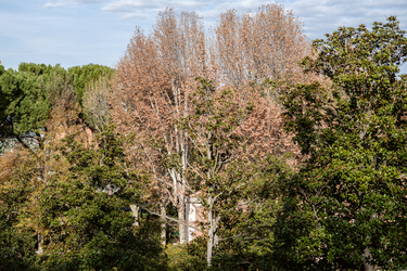 Habiter le temps - Exposition des artistes en résidence de la Casa de Velázquez 2024-2025