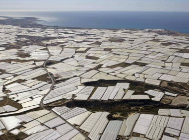 Nourrir les siens en nourrissant l'Europe : disparition du poisson sénégalais, traversées maritimes clandestines et précarité du travail agricole en Espagne