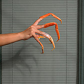 L’araignée / La araña, fotografía digital, 40x60 cm, 2020