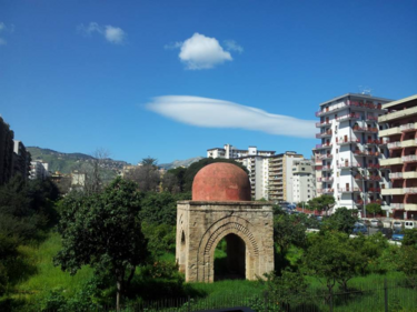 A Lost Mediterranean Landscape