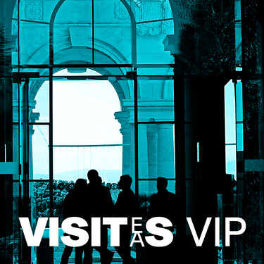 VISITES V.I.P