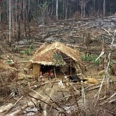  Territoires et populations menacés en Amazonie 