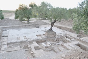 La production d’huile et d’amphores oléicoles dans le bassin du Guadalquivir à l’époque romaine