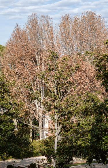 Habiter le temps - Exposition des artistes en résidence de la Casa de Velázquez 2024-2025