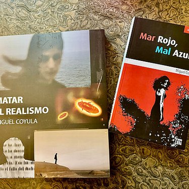 Conversación con Miguel Coyula