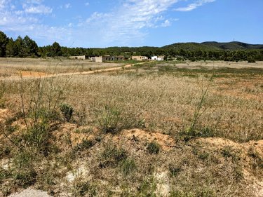 Narración y sequía: temporalidades en las ficciones contemporáneas del Antropoceno