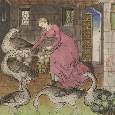 Genre et animaux dans les mondes hispaniques (Époques médievale et moderne)