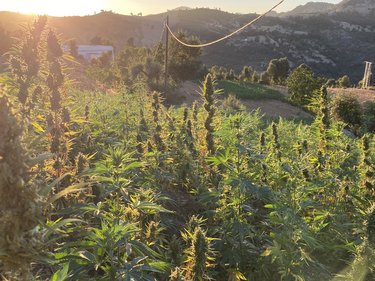 Soberanía y opacidad: Aproximaciones desde el Mediterráneo occidental