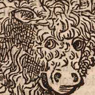 La conquête de nouveaux mondes