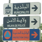  L'islam dans ses langues : les exigences du sacré et les besoins du profane
